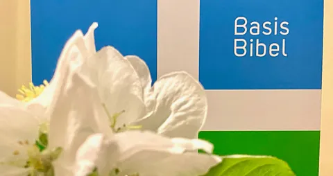 Bibel, weiße Lilien.