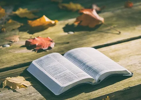 Offenes Buch, Blätter, Holz.